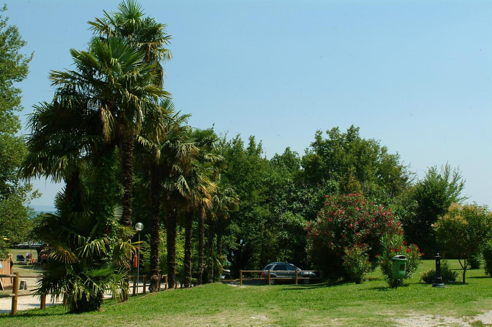 Camping Zocco Manerba del Garda Exterior foto